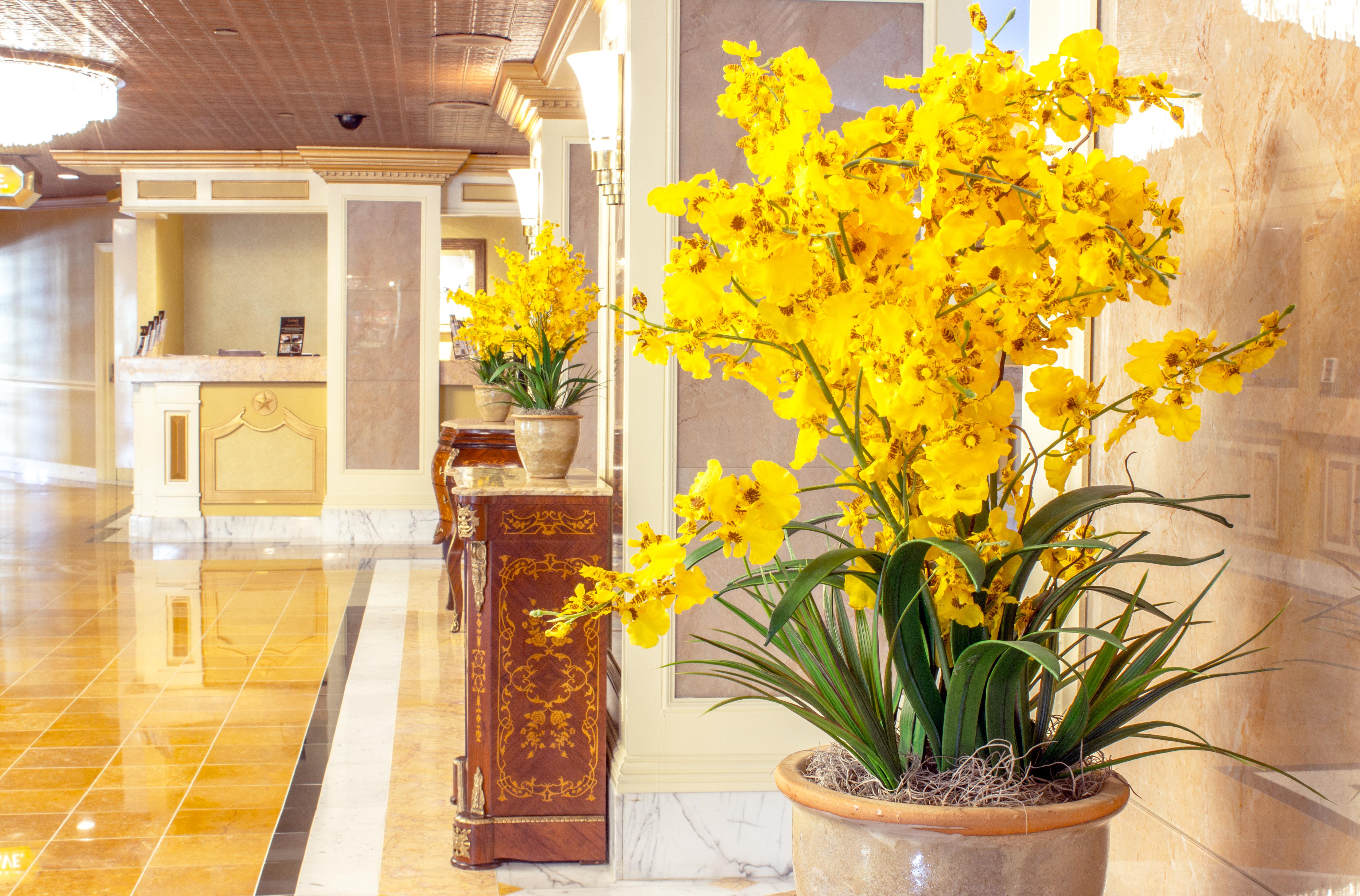 The Claridge Hotel Atlantic City Exterior foto
